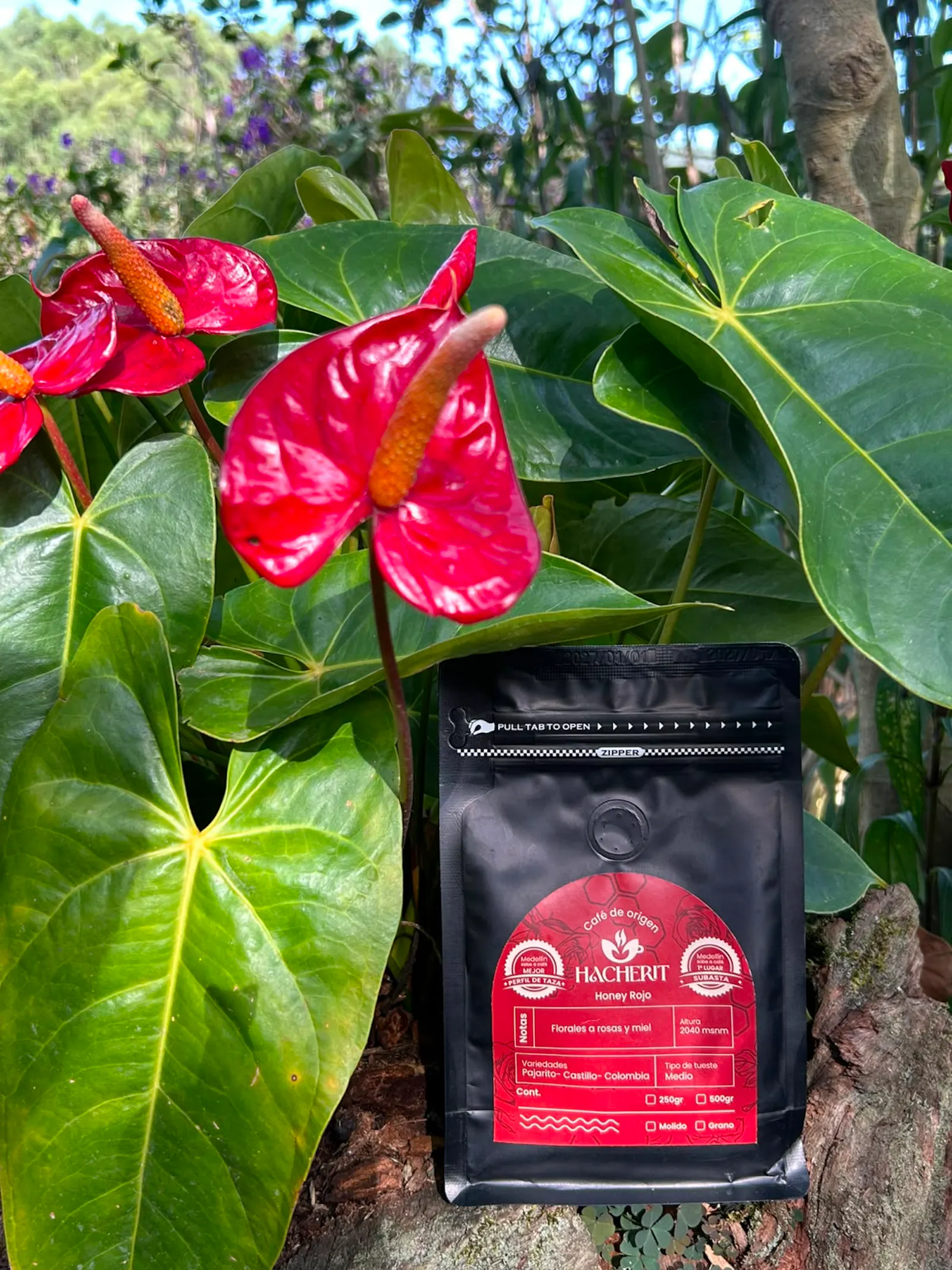 HACHERIT HONEY ROJO - Café de Especialidad