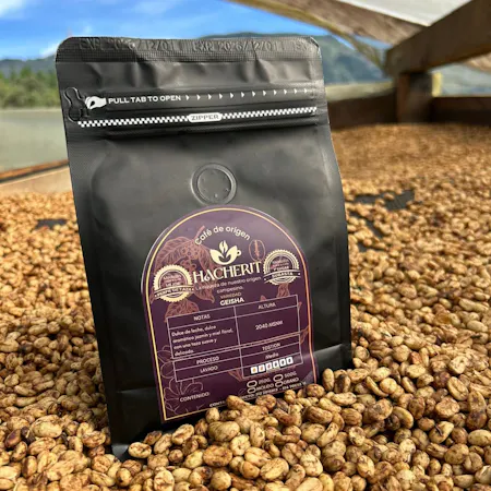 HACHERIT GEISHA