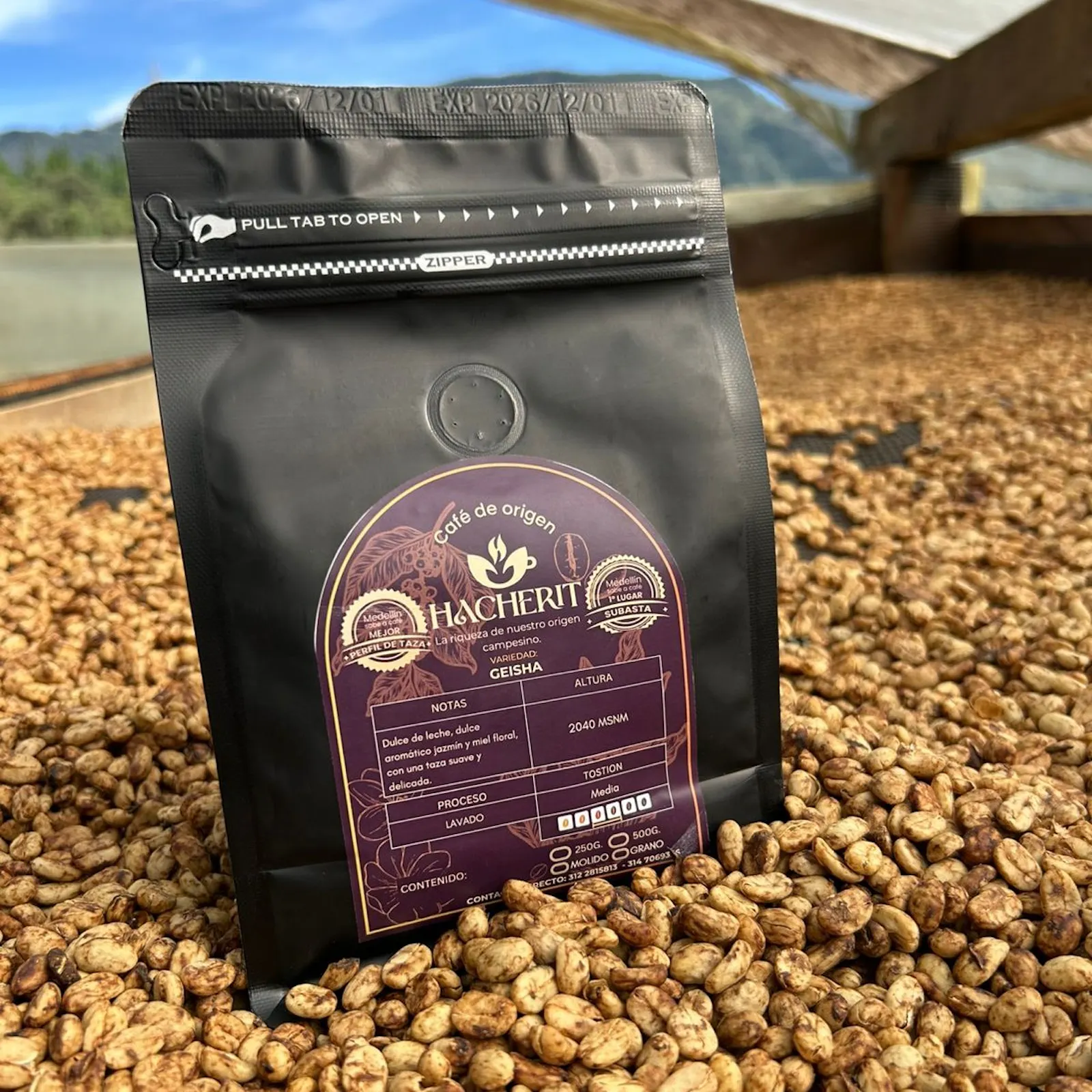 HACHERIT GEISHA - Café de Especialidad de Antioquia