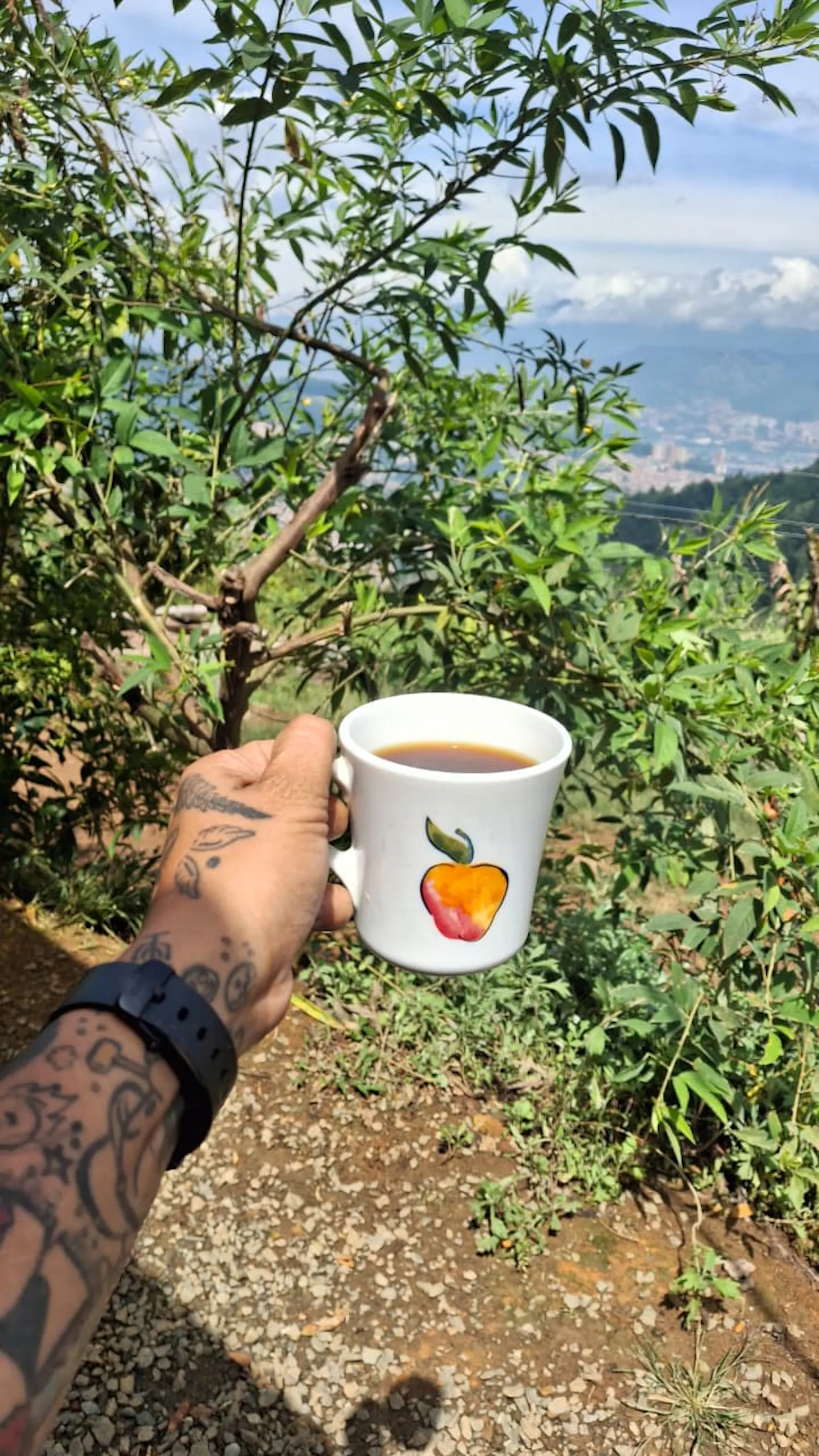 HACHERIT HONEY ROJO - Café de Especialidad