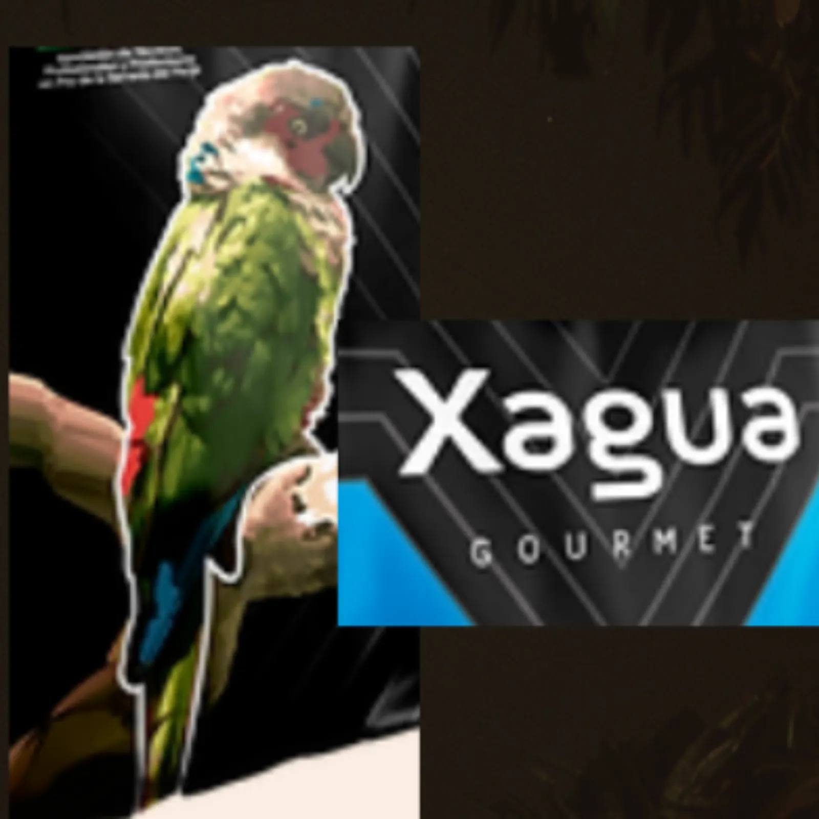 XAGUA - Café de Especialidad de Cesar