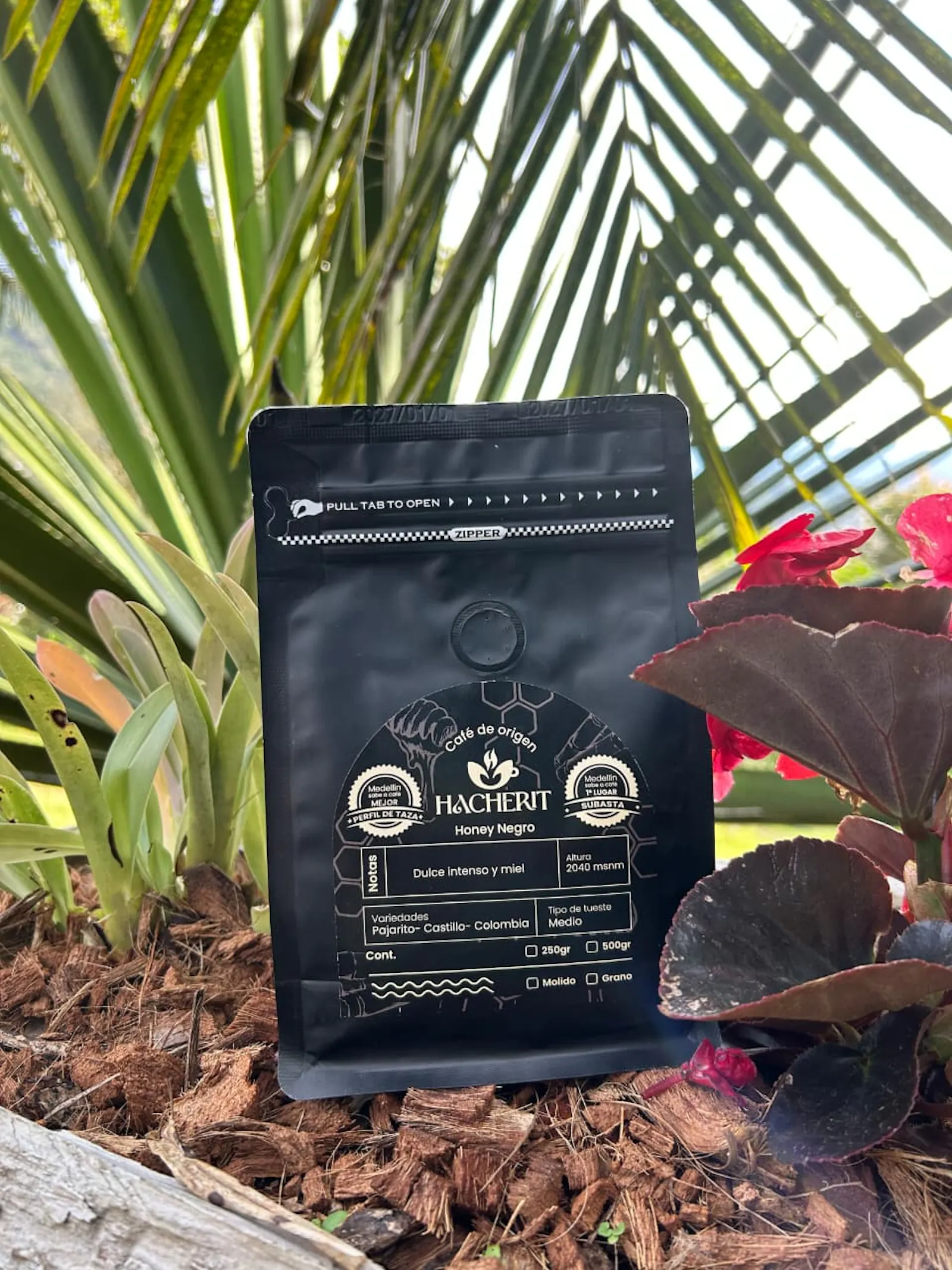 HACHERIT HONEY NEGRO - Café de Especialidad