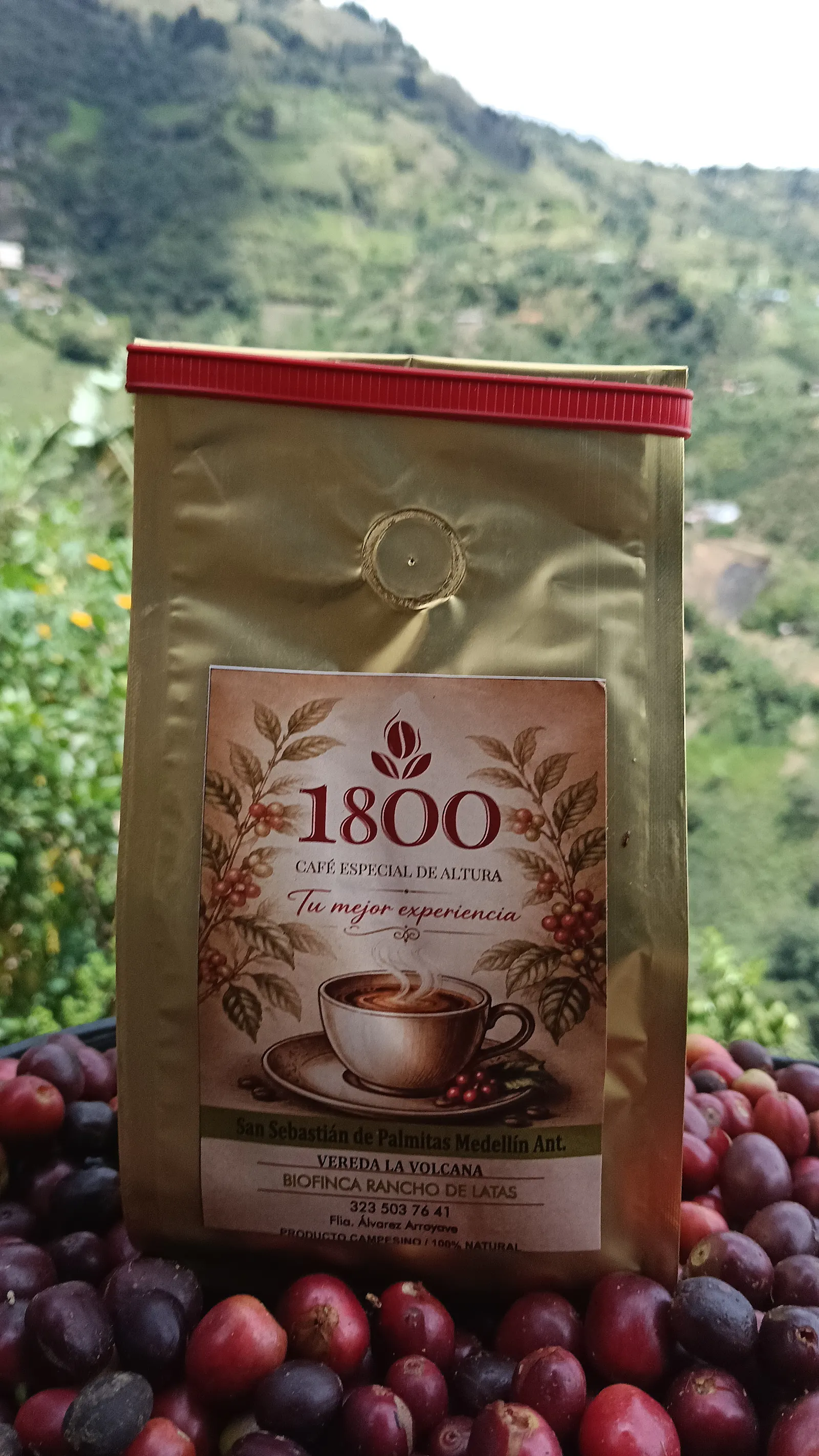 Café 1800 Proceso Honey - Café de Especialidad
