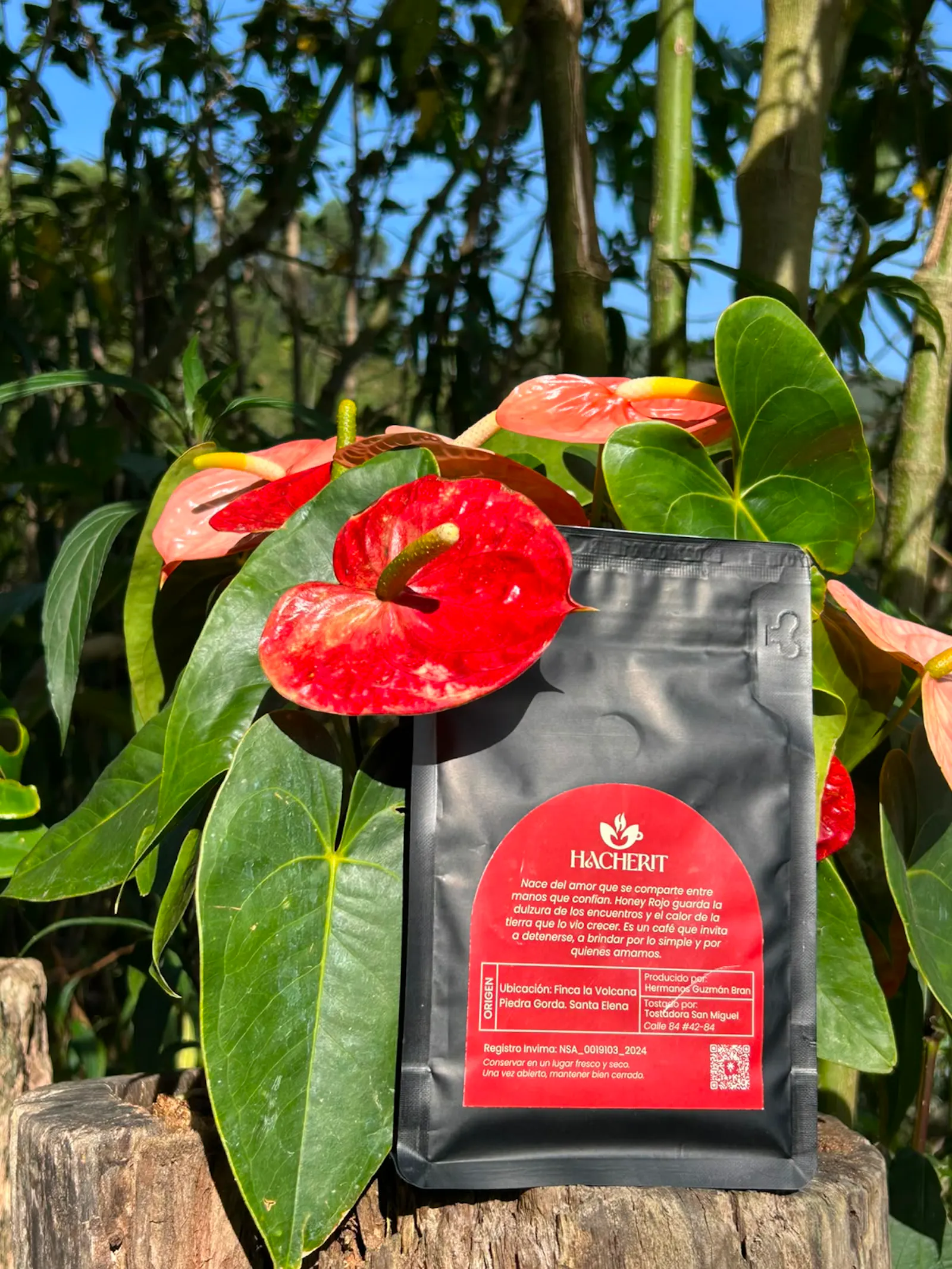 HACHERIT HONEY ROJO - Café de Especialidad