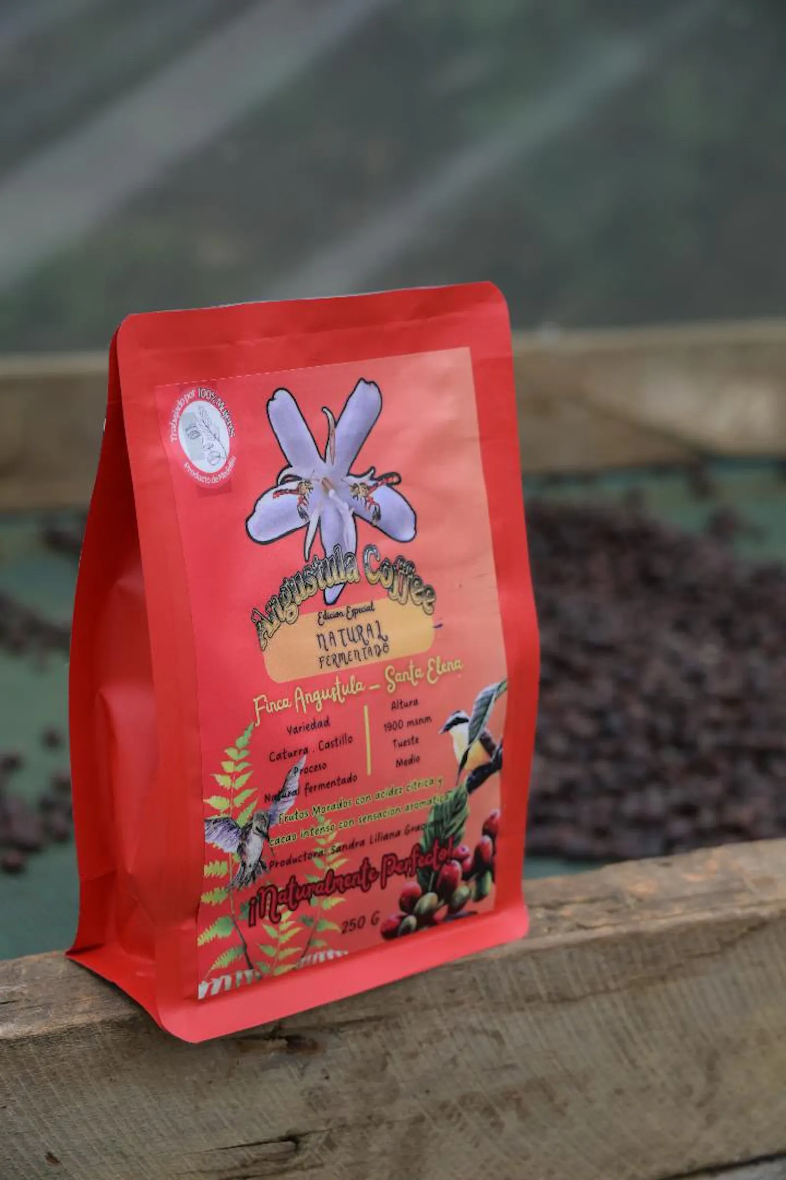Cafe Natural  - Café de Especialidad